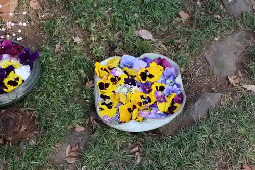 馬場氷川神社(埼玉県)