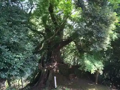 文殊仙寺(大分県)