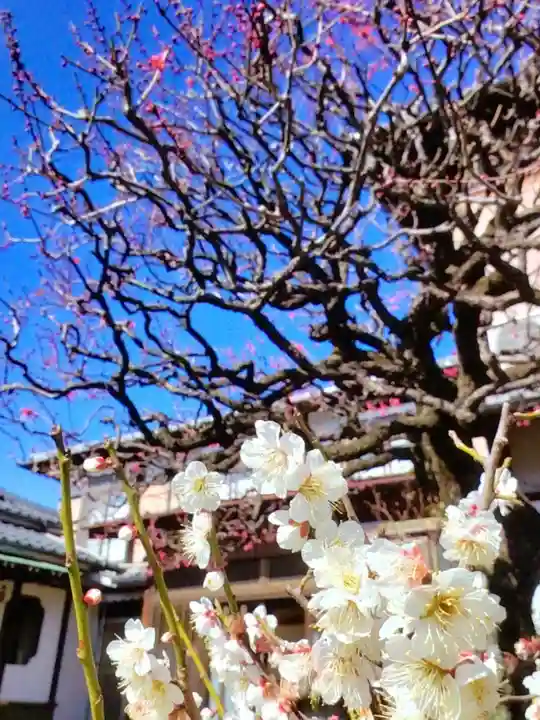 長善寺(東京都)