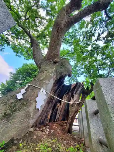 阿邪訶根神社(福島県)