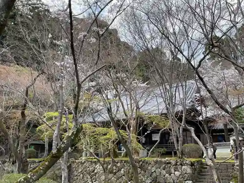 勝持寺（花の寺）(京都府)