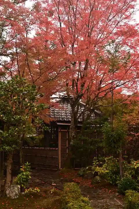 安楽寺(京都府)