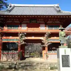 金乗院の山門