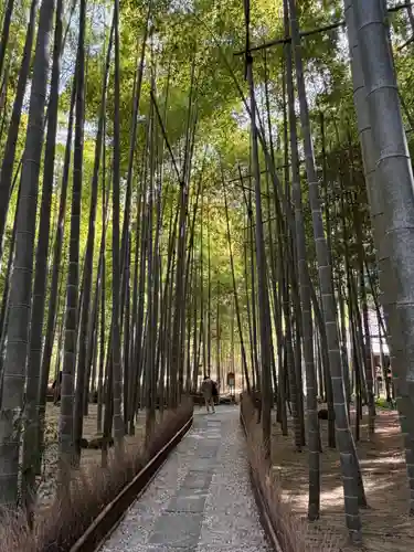 報国寺(神奈川県)