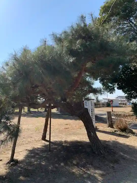 篠塚稲荷神社の自然