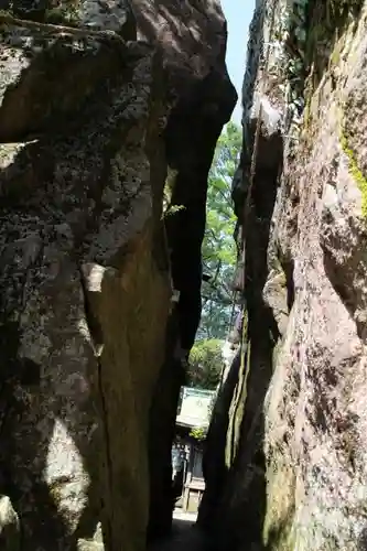 阿賀神社の自然