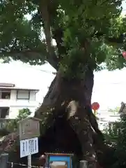 細江神社(静岡県)