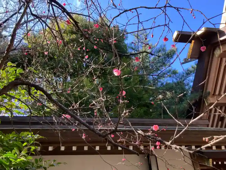 船橋神明神社の{uncategorized: "未分類", other: "その他", undefined: "問題あり", building: "その他建物", grave: "お墓", sacred_gate: "鳥居", guardian: "狛犬", statue: "像", buddha: "仏像", history: "歴史", nature: "自然", garden: "庭園", animal: "動物", pagoda: "塔", temizu: "手水舎", mountain_gate: "山門・神門", sanctuary: "本殿・本堂", subordinate: "末社・摂社", art: "芸術", scenery: "景色", jizo: "地蔵", ema: "絵馬", goshuin: "御朱印", omikuji: "おみくじ", items: "授与品その他", amulet: "お守り", goshuincho: "御朱印帳", eats: "食事", festival: "お祭り", votive_dance: "神楽", shichigosan: "七五三参", wedding: "結婚式", experience: "体験その他", initially: "初詣", around: "周辺", anti_infection: "感染症対策"}