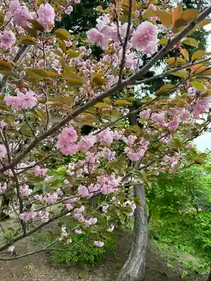 倶利迦羅不動寺山頂本堂(石川県)