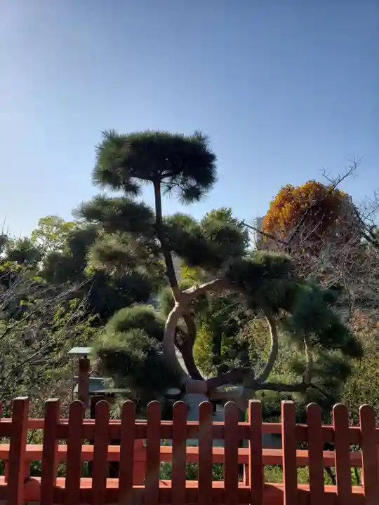 清水観音堂(東京都)