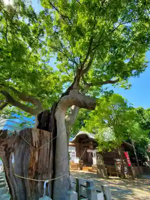 阿邪訶根神社のその他建物