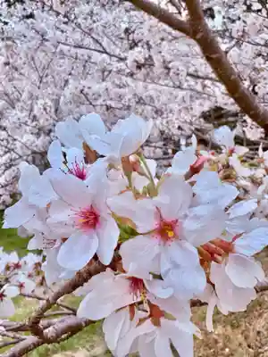 井伊谷宮(静岡県)