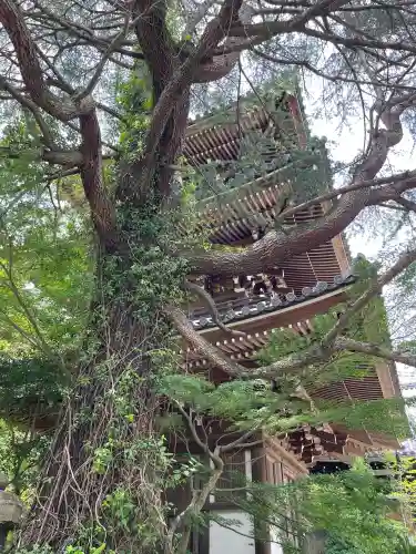 東禅寺(東京都)