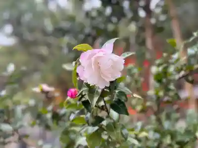 伊勢の国 四天王寺(三重県)