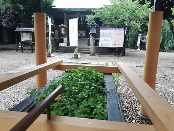 上目黒氷川神社の手水舎
