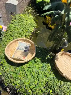 神楽坂安養寺の{uncategorized: "未分類", other: "その他", undefined: "問題あり", building: "その他建物", grave: "お墓", sacred_gate: "鳥居", guardian: "狛犬", statue: "像", buddha: "仏像", history: "歴史", nature: "自然", garden: "庭園", animal: "動物", pagoda: "塔", temizu: "手水舎", mountain_gate: "山門・神門", sanctuary: "本殿・本堂", subordinate: "末社・摂社", art: "芸術", scenery: "景色", jizo: "地蔵", ema: "絵馬", goshuin: "御朱印", omikuji: "おみくじ", items: "授与品その他", amulet: "お守り", goshuincho: "御朱印帳", eats: "食事", festival: "お祭り", votive_dance: "神楽", shichigosan: "七五三参", wedding: "結婚式", experience: "体験その他", initially: "初詣", around: "周辺", anti_infection: "感染症対策"}