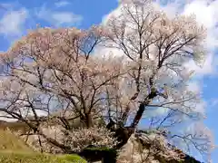 仏隆寺(奈良県)