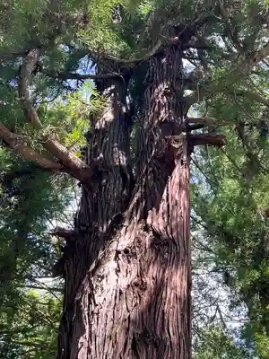 諏訪大社下社春宮(長野県)