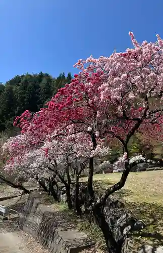国福大神社(山梨県)