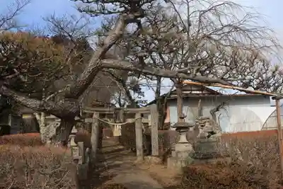 天満神社の鳥居
