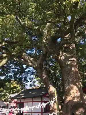 春日神社(大分県)