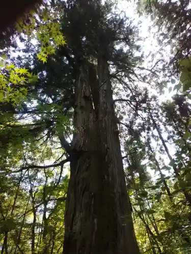 花園神社(茨城県)