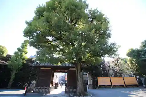 宝仙寺(東京都)
