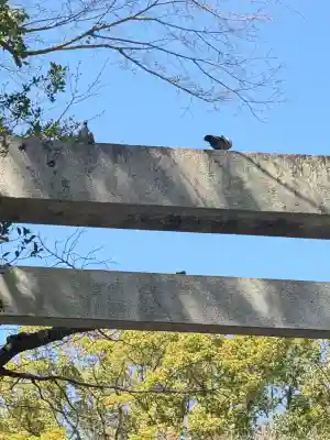 報徳二宮神社の{uncategorized: "未分類", other: "その他", undefined: "問題あり", building: "その他建物", grave: "お墓", sacred_gate: "鳥居", guardian: "狛犬", statue: "像", buddha: "仏像", history: "歴史", nature: "自然", garden: "庭園", animal: "動物", pagoda: "塔", temizu: "手水舎", mountain_gate: "山門・神門", sanctuary: "本殿・本堂", subordinate: "末社・摂社", art: "芸術", scenery: "景色", jizo: "地蔵", ema: "絵馬", goshuin: "御朱印", omikuji: "おみくじ", items: "授与品その他", amulet: "お守り", goshuincho: "御朱印帳", eats: "食事", festival: "お祭り", votive_dance: "神楽", shichigosan: "七五三参", wedding: "結婚式", experience: "体験その他", initially: "初詣", around: "周辺", anti_infection: "感染症対策"}