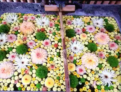 高円寺氷川神社(東京都)