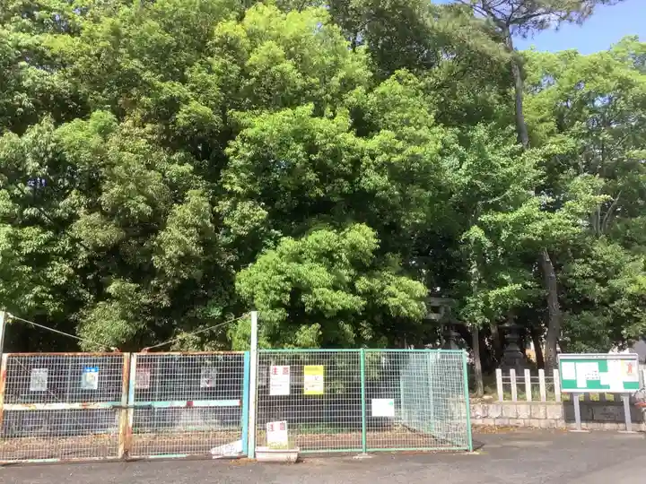 月之宮社の自然