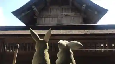 出雲大社の狛犬