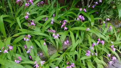 浄土寺(愛媛県)