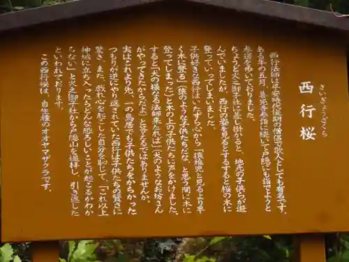 戸隠神社火之御子社の歴史