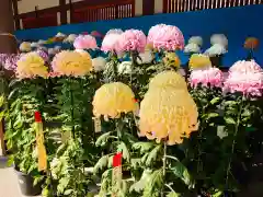 湯島天満宮の庭園