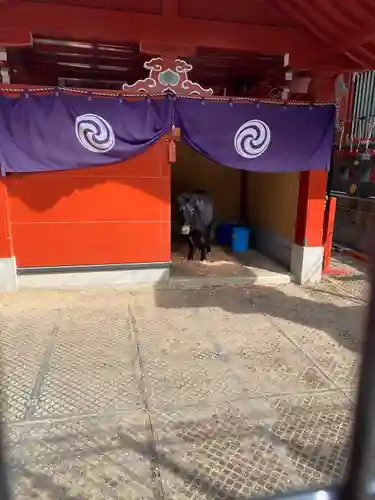 神田神社（神田明神）(東京都)