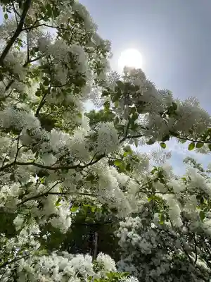 岡湊神社(福岡県)