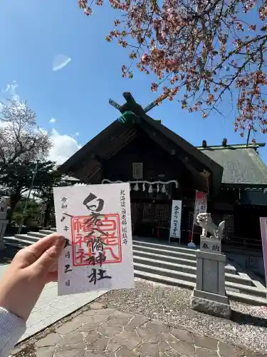 白老八幡神社の御朱印