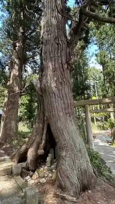 円光寺(山形県)