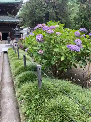 建長寺(神奈川県)