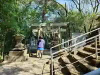 高知県護国神社の鳥居