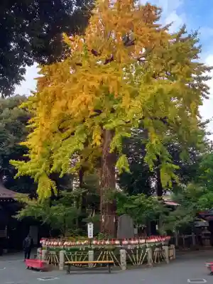 七社神社のその他建物