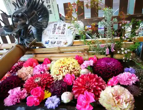 戸越八幡神社(東京都)