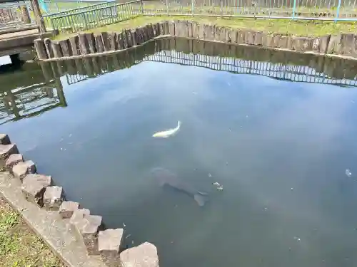 出世弁財天女宮(東京都)