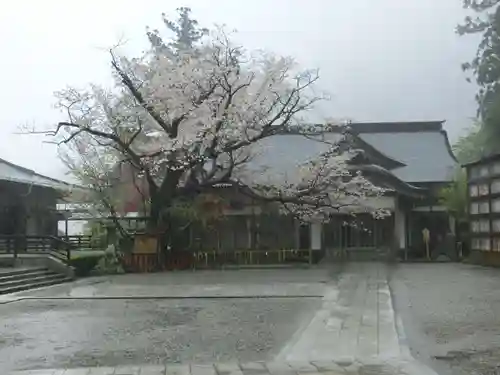 熊野那智大社の本殿・本堂