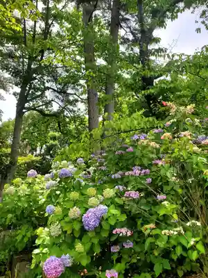 開成山大神宮(福島県)