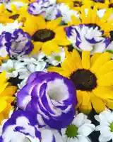 鹿島台神社(宮城県)