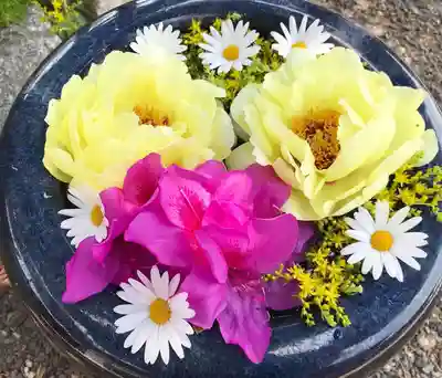 真言宗　善通寺派　薬王寺の手水舎