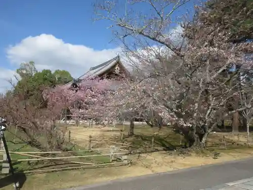 仁和寺(京都府)