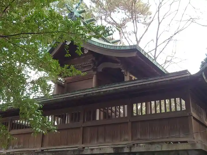 宗像神社の本殿・本堂