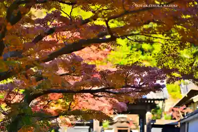円覚寺(神奈川県)